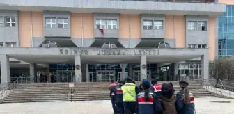 Edirne'de Yunanistan'a kaçmaya çalışan 10 terör örgütü şüphelisi yakalandı