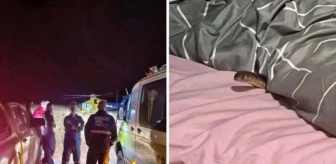 Avustralya'da genç kadın, uyuduğu sırada dünyanın en zehirli yılanın kendisini ısırması sonucu ağır yaralandı