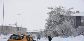 Bitlis'te Kar Yağışı Nedeniyle 34 Köy Yolu Ulaşıma Kapandı