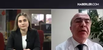 Enfeksiyon Hastalıkları Uzmanı Prof. Dr. Mustafa Ertek: Domuz gribi enfeksiyonları daha ağır geçiyor