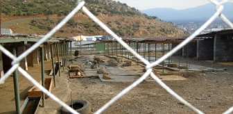 Gaziantep İslahiye'deki Hayvan Barınağında 1000 Hayvan Sahiplendirildi