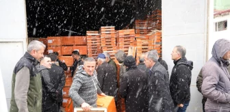 Bayburt'ta Arı Ürünleri Üretim Projesi kapsamında 227 üreticiye kovan ve ekipman dağıtıldı