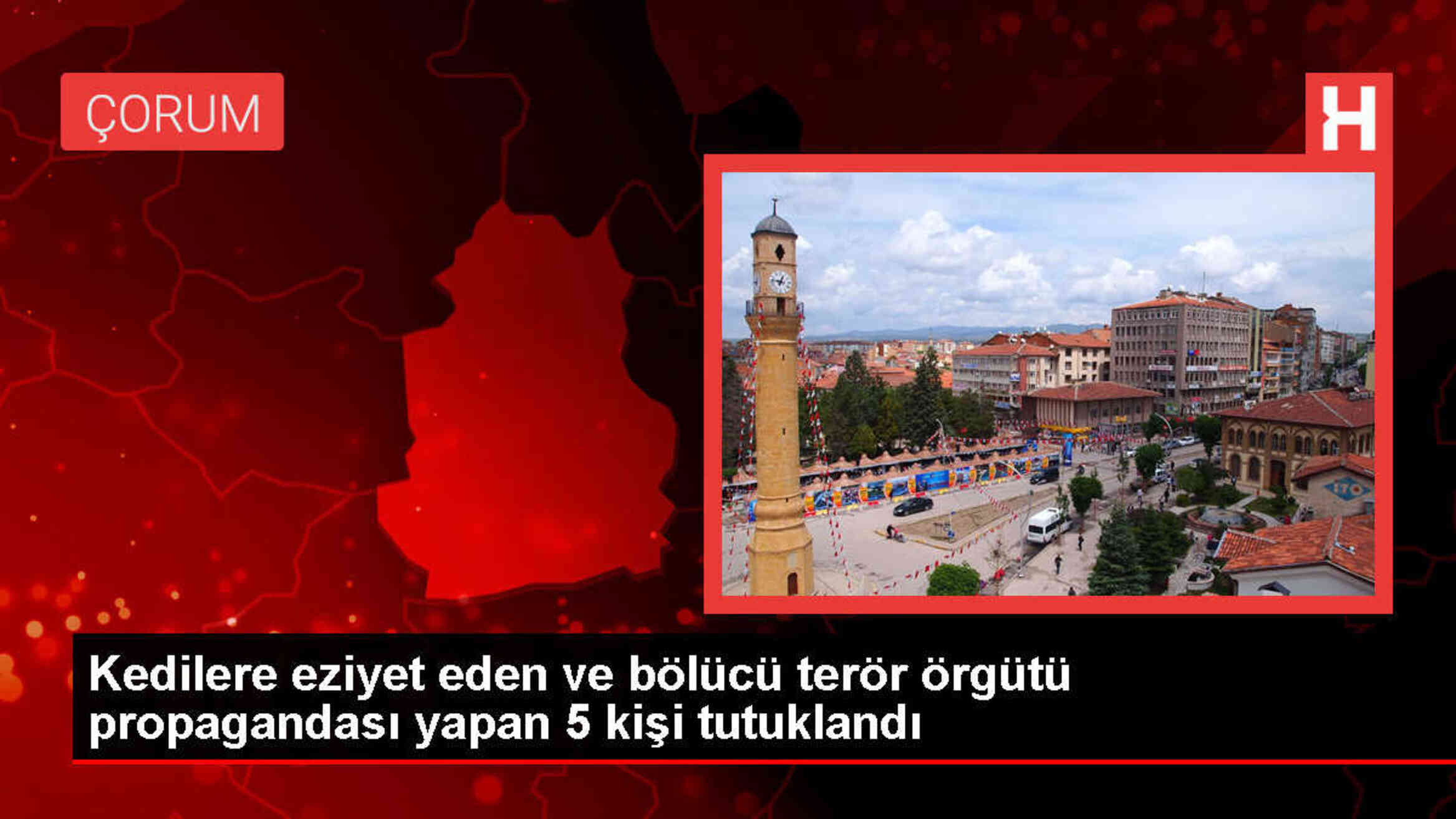 Kedilere eziyet eden ve terör örgütü propagandası yapan 5 şüpheli tutuklandı