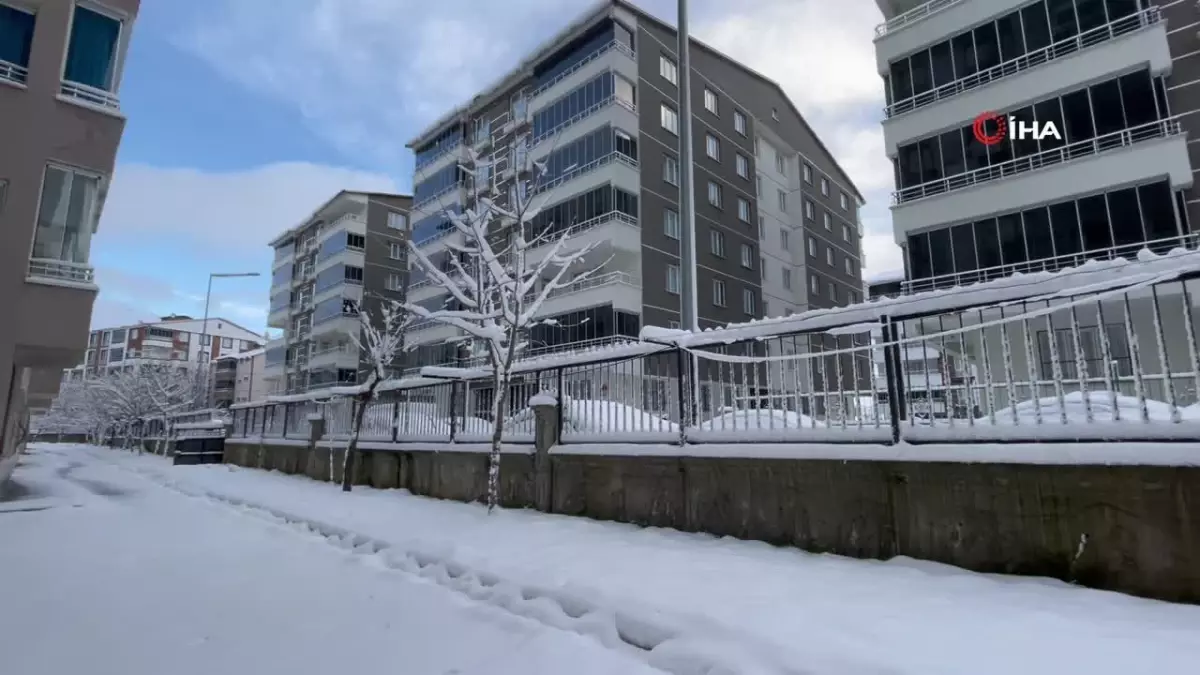 Tatvan'da kar kalınlığı 30 santimetreye ulaştı, araçlar kara gömüldü
