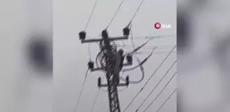 Elektrik direğine çıkan şahıs akıma kapıldı...O anlar kamerada