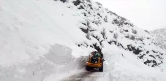 Şemdinli'de Çığ Nedeniyle 2 Köy Yolu Kapandı