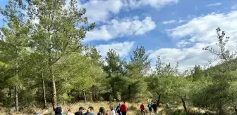 Hatay'da çevre gönüllüleri doğayı temizledi