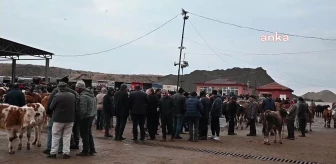 Yozgat'ta Şap Hastalığı Nedeniyle Canlı Hayvan Pazarları Kapatıldı
