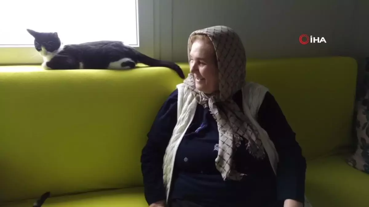 73 yaşındaki Şaziye Teyze, konteyner evinde kedileriyle yaşamını sürdürüyor