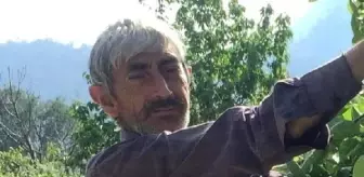 Erdemli'de Ağaç Kesimi Sırasında Çiftçi Hayatını Kaybetti