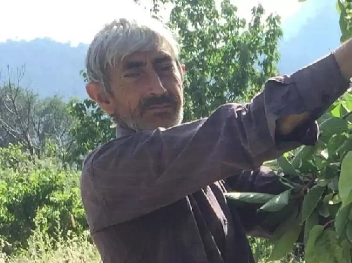 Erdemli'de Ağaç Kesimi Sırasında Çiftçi Hayatını Kaybetti