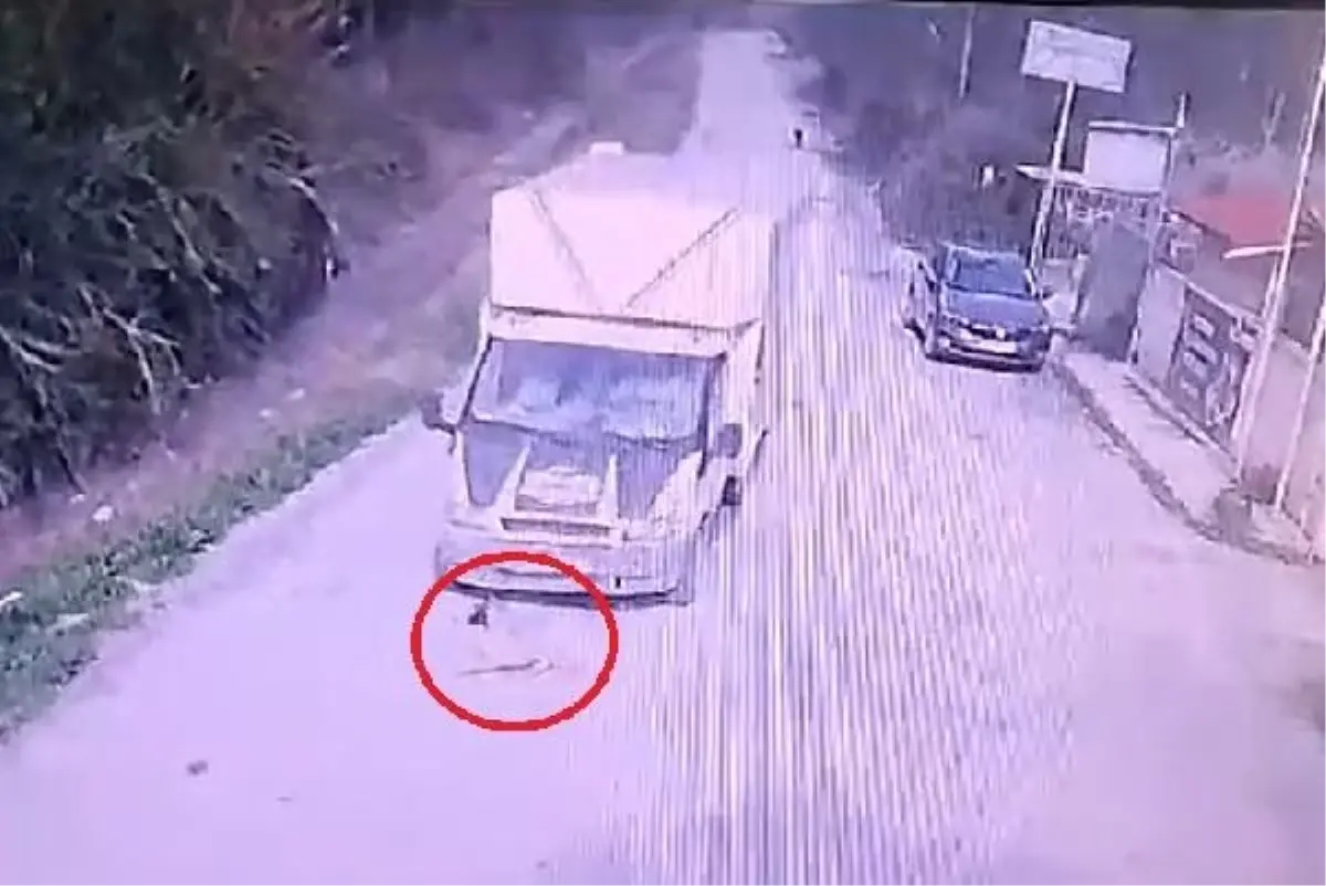 Kamyonetin Çarptığı Köpek Yaralandı