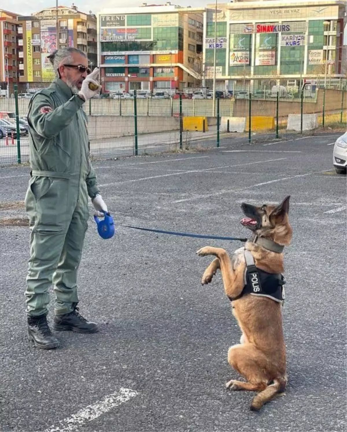 Tekirdağ Emniyet Müdürlüğü'nde görev yapan narkotik köpeği Larissa yaşamını yitirdi
