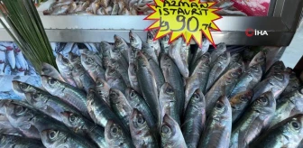 Tezgahlarda azman balığı bolluğu