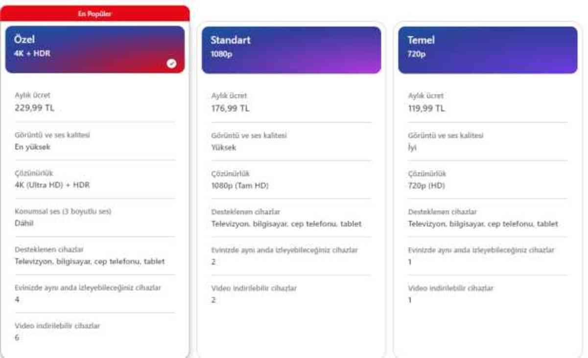 2024 NETFLİX ÜCRETLERİ! Netflix'e ne kadar zam geldi? Netflix paket fiyatları kaç TL?