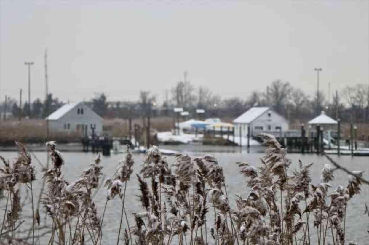ABD'de kutup soğukları nedeniyle 7 kişi hayatını kaybetti ABD'de kutup soğukları nedeniyle 7 kişi hayatını kaybetti
