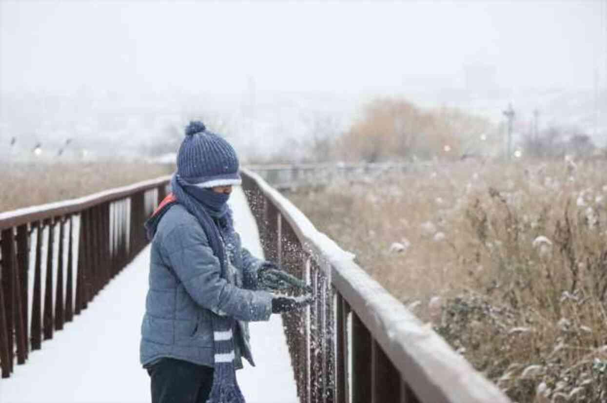 ABD'de kutup soğukları nedeniyle 7 kişi hayatını kaybetti ABD'de kutup soğukları nedeniyle 7 kişi hayatını kaybetti