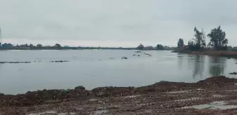 Hatay'da sağanak yağış nedeniyle Asi Nehri taştı