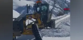 Diyarbakır Kulp'ta Karla Kapanan 5 Mahallenin Yolu Açıldı