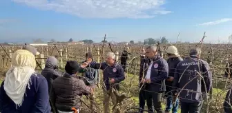 Akhisar'da çiftçilere budama işlemleri hakkında eğitim verildi