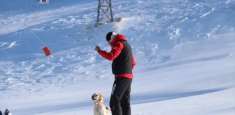 Palandöken Kayak Merkezi'nde Arama Kurtarma Köpeği Hera Görev Başında