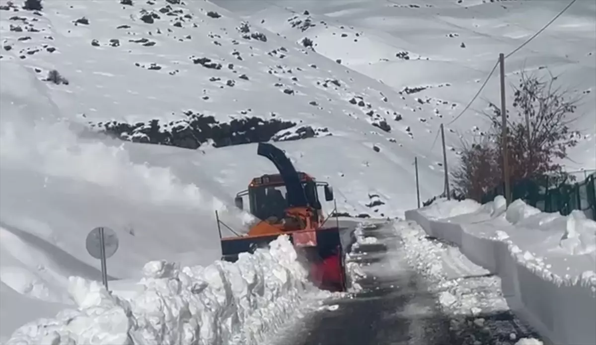 Bingöl, Batman ve Şırnak'ta kar nedeniyle ulaşım sağlanamıyor