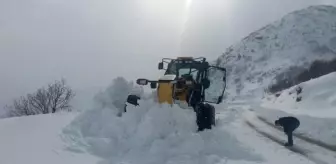 Bingöl'de Kar Yağışı: 91 Köy Yolu Ulaşıma Kapandı