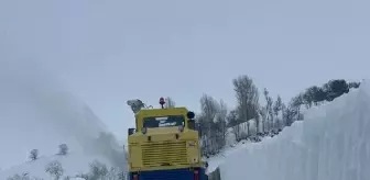 Bitlis'te Kar Yağışı Nedeniyle 265 Köy Yolu Ulaşıma Kapandı