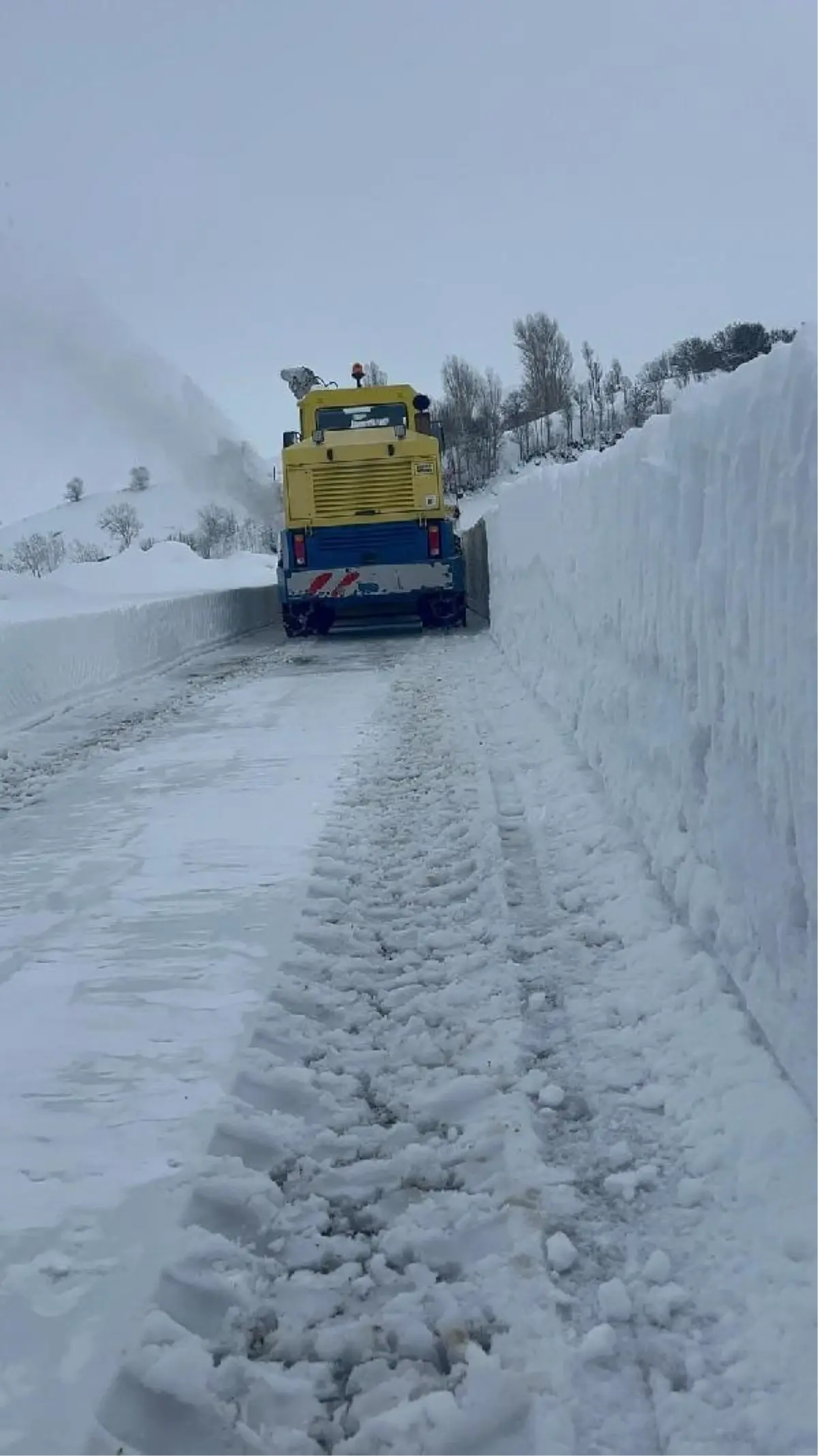 Bitlis'te Kar Yağışı Nedeniyle 265 Köy Yolu Ulaşıma Kapandı