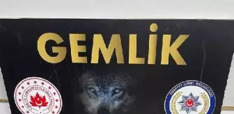 Gemlik'te Uyuşturucu Ticareti Yapan Şüpheli Yakalandı