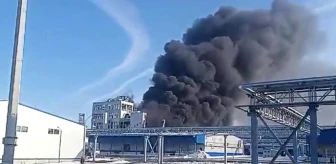 Rusya'da bir polyester fabrikasında patlama: 9 işçi yaralandı