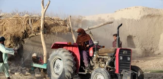 Taliban, Afganistan'da Haşhaş Ekimini ve Ticaretini Yasaklamaya Devam Ediyor