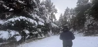 Tunceli ve Ardahan'da kar yağışı, Erzurum ile Ağrı'da soğuk hava etkili