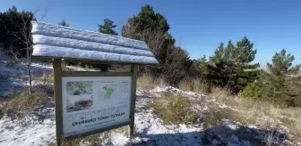 Yozgat Çamlığı'ndaki Kar Kuyuları Turizme Kazandırılacak