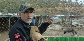 Gaziantep'teki Hayvan Barınağında Köpeklere Müzikli Terapi Uygulanıyor