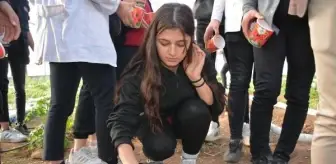 Hollanda Büyükelçiliği, Şırnak'ta Lale Soğanları Yetiştirme Projesine Destek Verdi