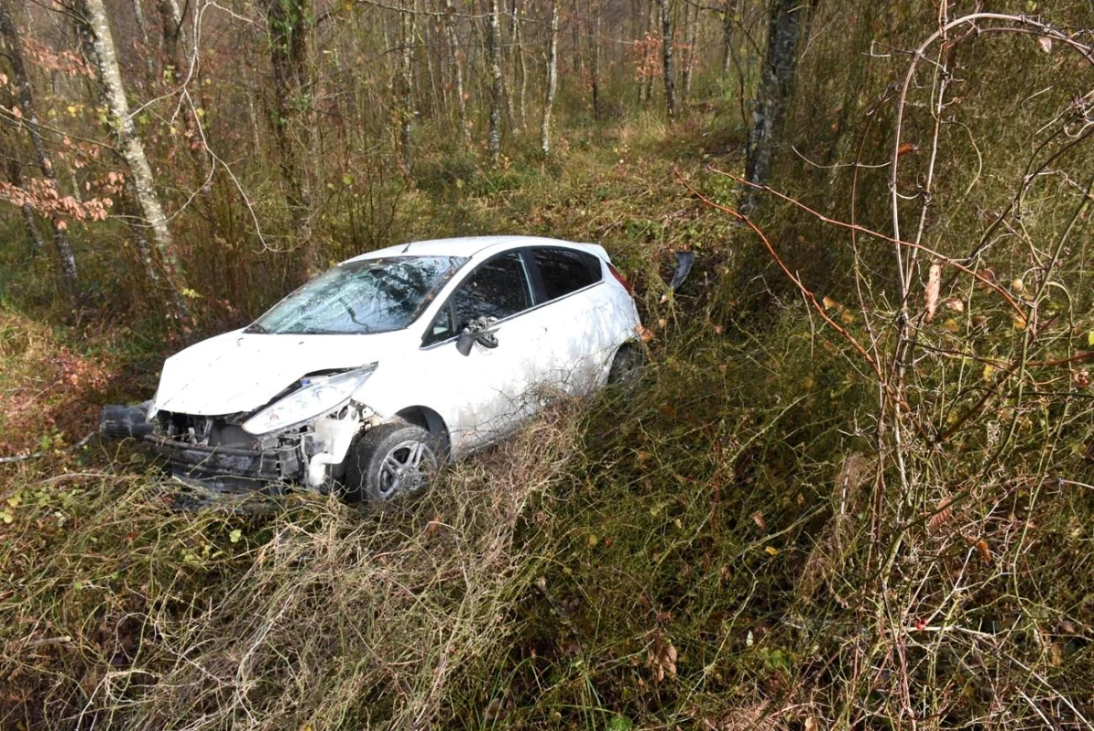 Sinop'ta otomobil ormana uçtu, sürücü yaralandı