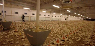 Erzincan'da Tavuk Çiftliği Ziyareti
