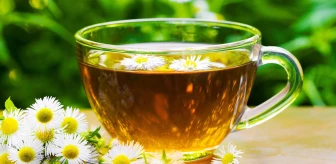 İran'daki son araştırma papatya çayının yeni özelliğini ortaya çıkardı