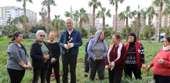 Mezitli Belediye Başkanı Tarhan, Üretici Kadınları Ziyaret Etti