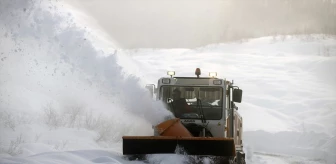 Tunceli'de kar ve tipi nedeniyle kapanan köy yolları açıldı