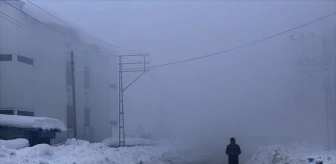 Van'ın Gürpınar ilçesinde karla mücadele çalışmaları sürüyor