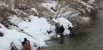 Karlıova'da dondurucu soğukta balık satışı