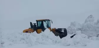 Bitlis'te Kar Yağışı Sonrası Kapalı Olan 265 Köy Yolu Ulaşıma Açıldı