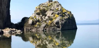 İznik Gölü'ndeki Kayanın Suya Yansıyan Figürleri Sosyal Medyada Fenomen Oldu