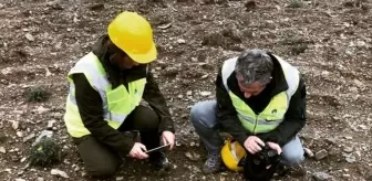 Hanönü ilçesinde yapılan çalışmalarda 35 endemik tür tespit edildi