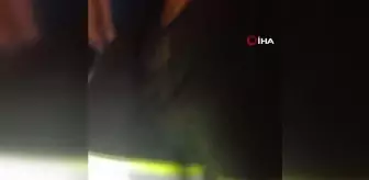 Konteynerin altında sıkışan köpeği itfaiye ekipleri kurtardı