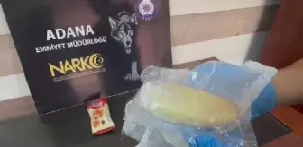 Adana'da Kruvasan Paketlerinde Gizlenmiş Bonzai Yakalandı