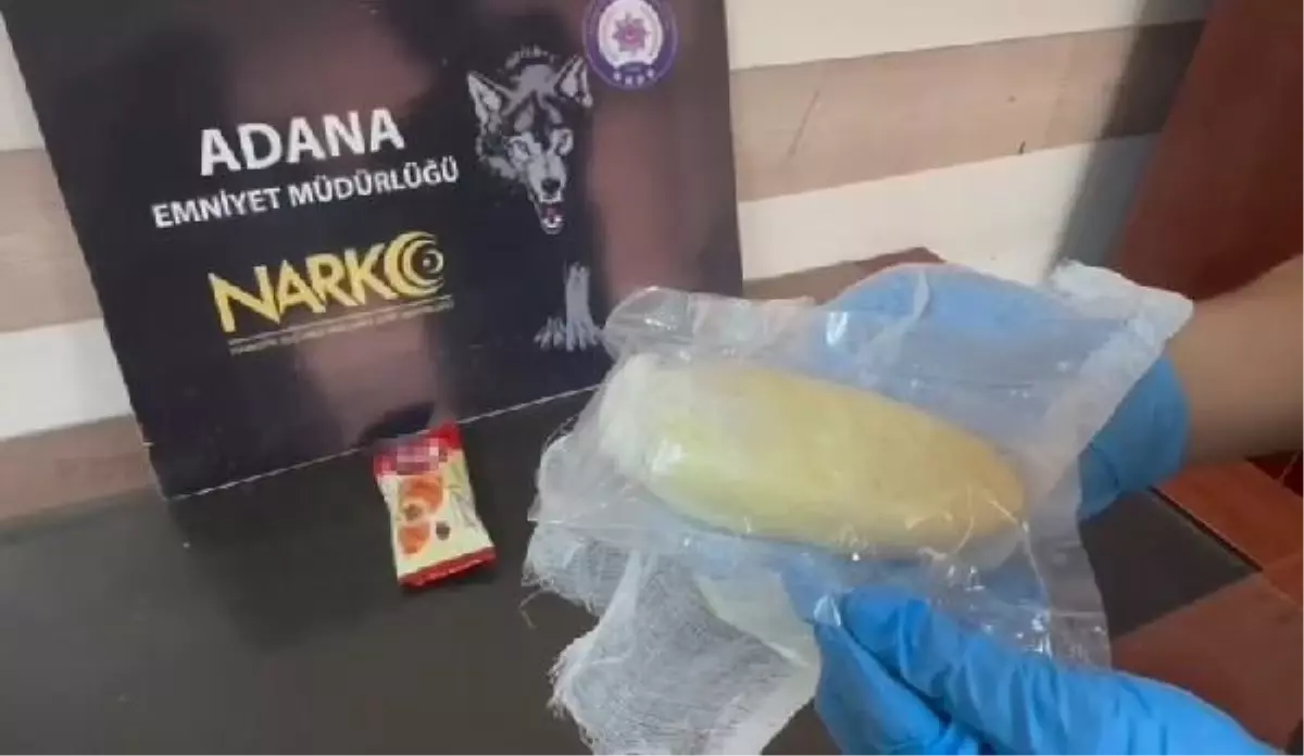 Adana'da Kruvasan Paketlerinde Gizlenmiş Bonzai Yakalandı