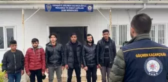 Osmaniye'de 6 Suriye uyruklu kaçak göçmen yakalandı